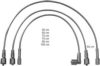 BERU ZEF1384 Ignition Cable Kit